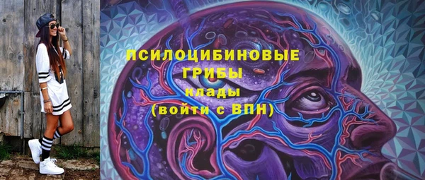 прущая мука Кулебаки